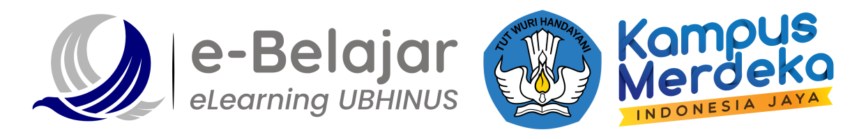 eLearning Ubhinus